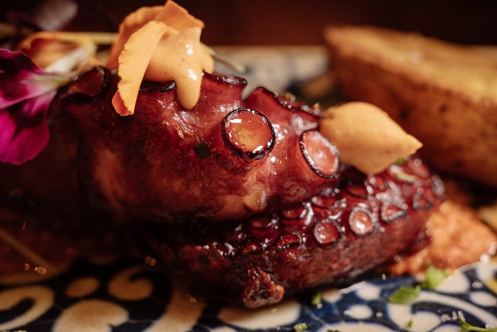 Fotografía de producto, pulpo a la brasa